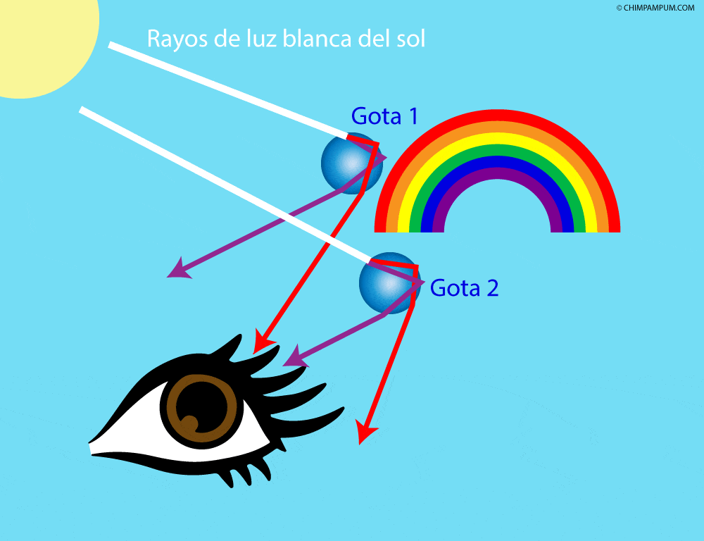 gráfico de como se crea un arco iris con gotas de lluvia